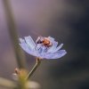 img_9811